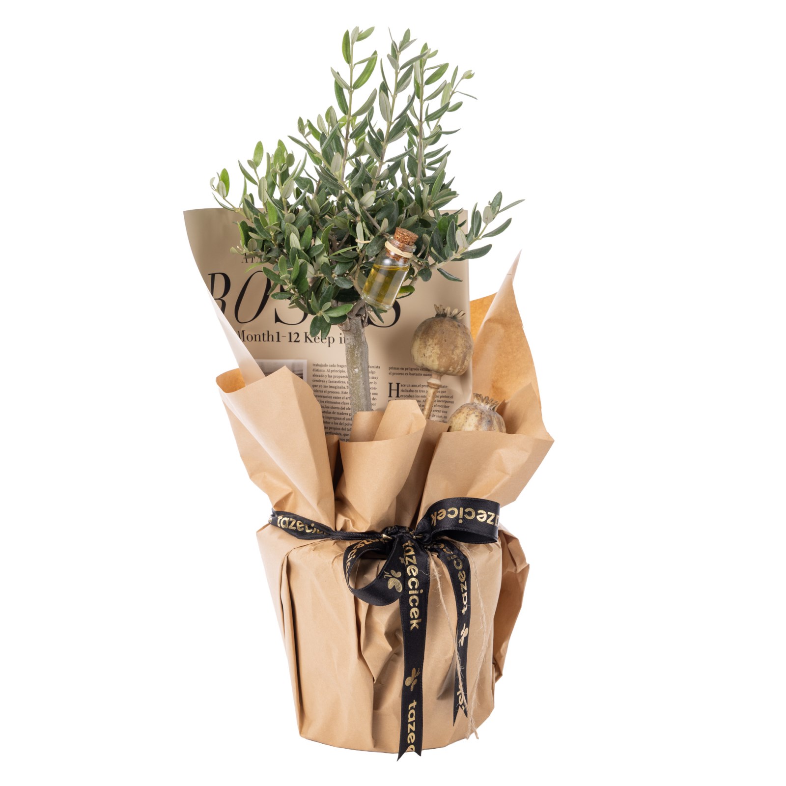 Olive Whisper Zeytin Ağacı