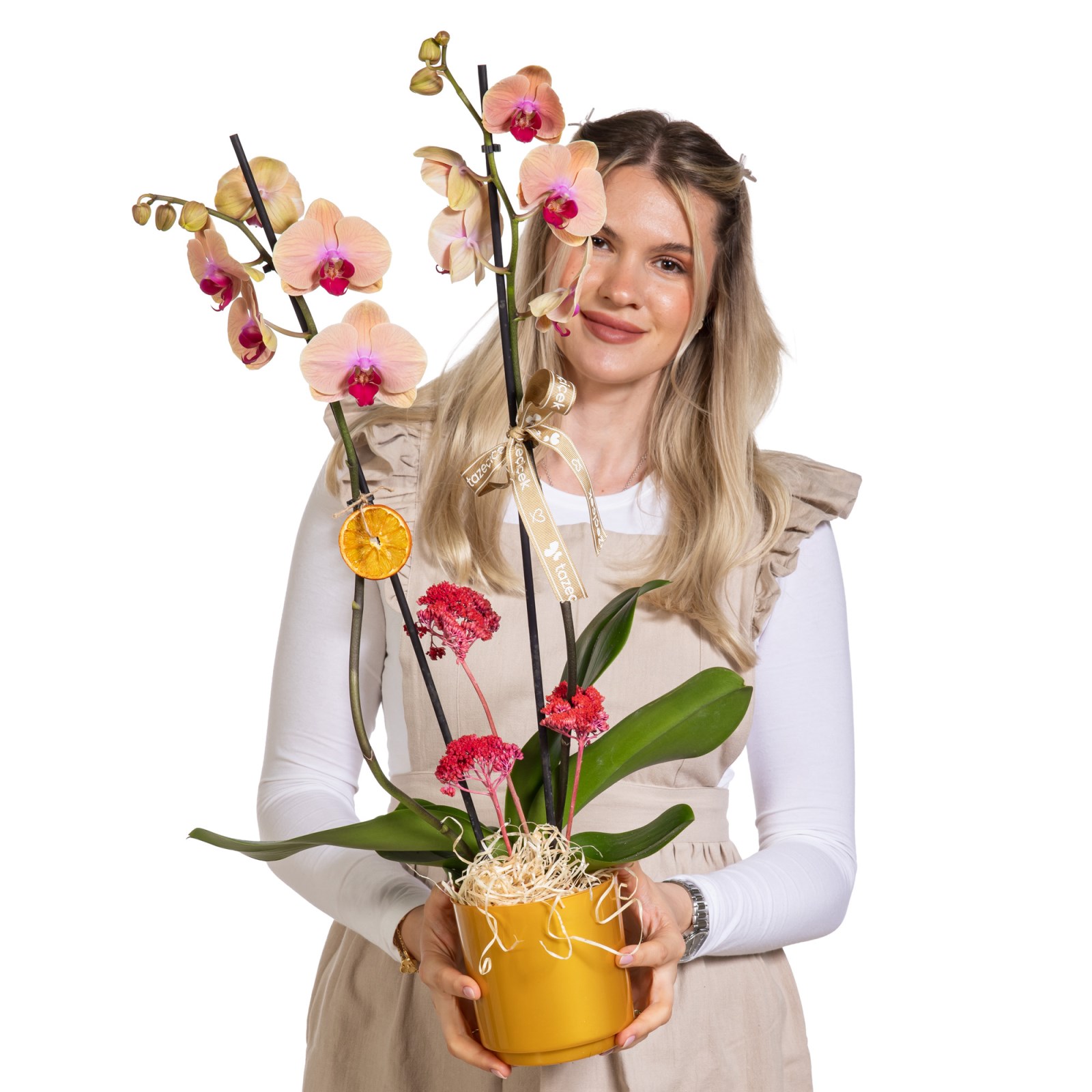 Peach Glow Çift Dallı Orkide