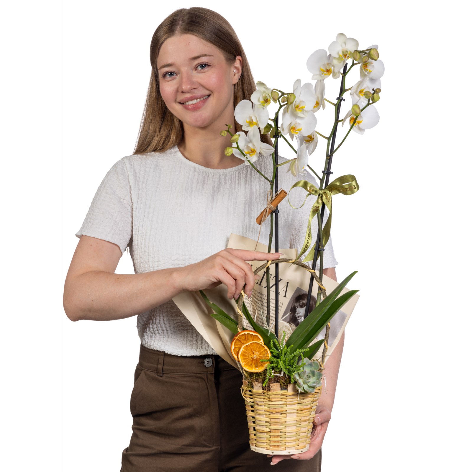 Sunny Basket Orkide